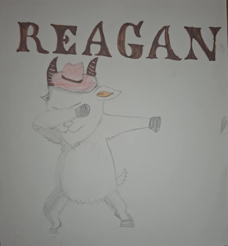 A goat named Reagan the coolest