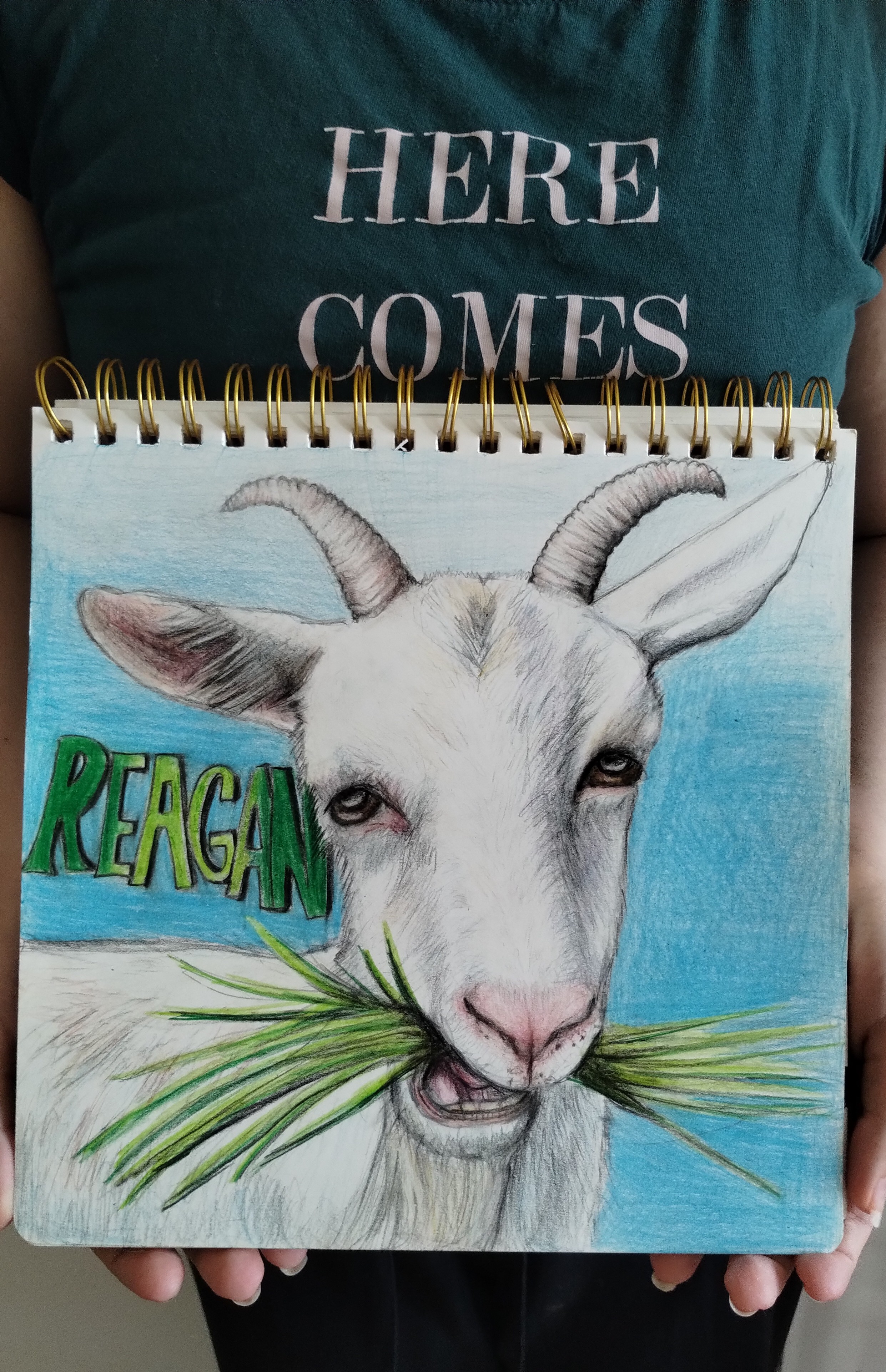 A goat named Reagan
