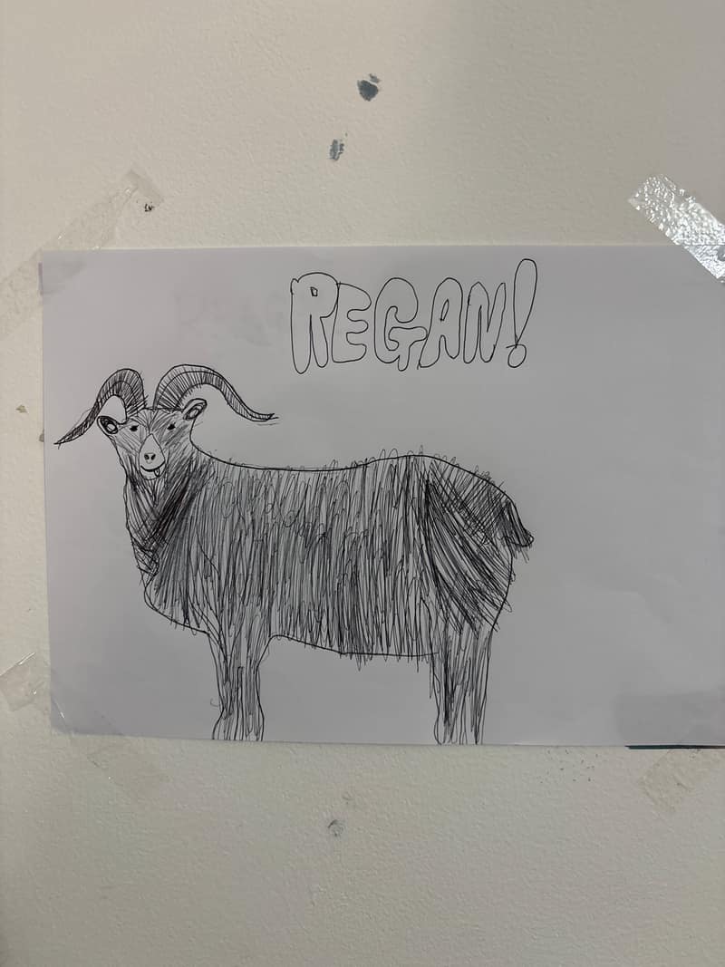 A goat named Reagan