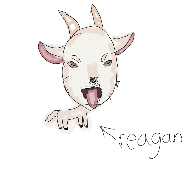 A goat named Reagan