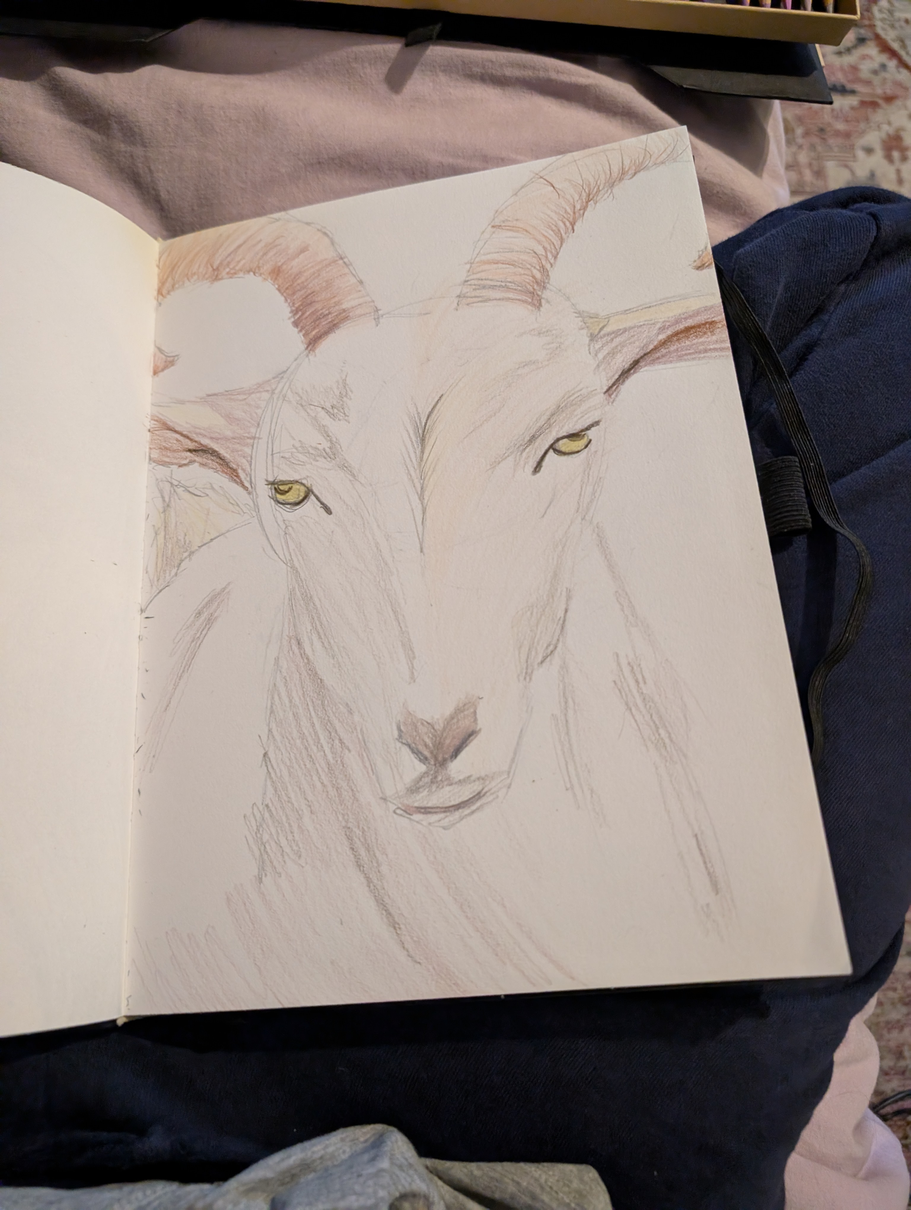 A goat named Mr Reagan