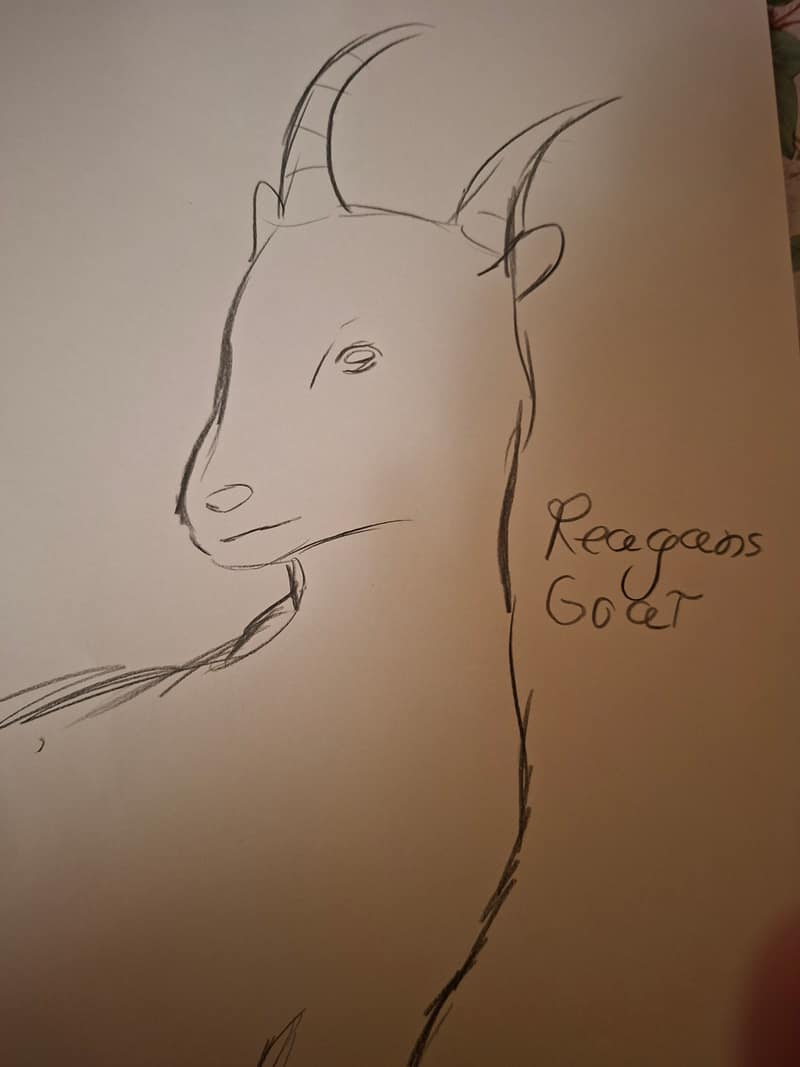A goat named Reagan