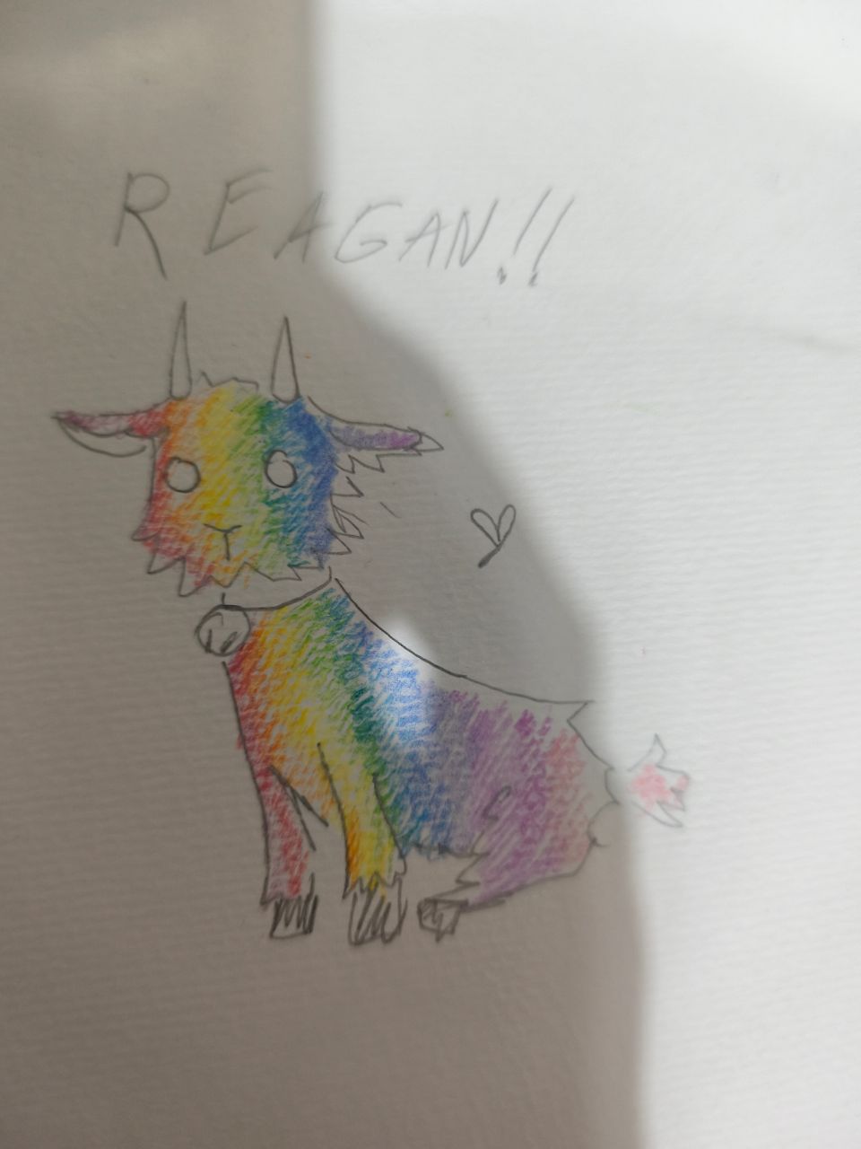 A goat named Rainbow Reagan goat